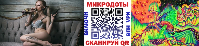 Галлюциногенные грибы Psilocybe Голицыно